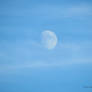 Pretty Blue Moon
