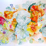 Nasturtiums watercolour