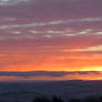 Dawn with birds ..North Devon sky