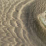 Feathered Shapes on the beach