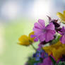 Wild flowers and light