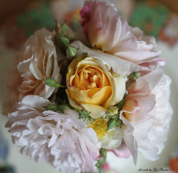 Beauty of Roses