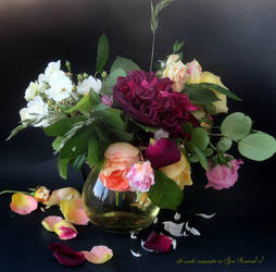 Old Roses from my garden
