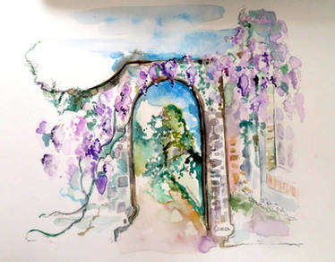 Tapeley ,Wisteria