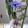sheer lovelineess