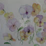 Img 0845 farmmmeee