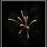 :. fireworks .: