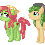 Hippie Ponies