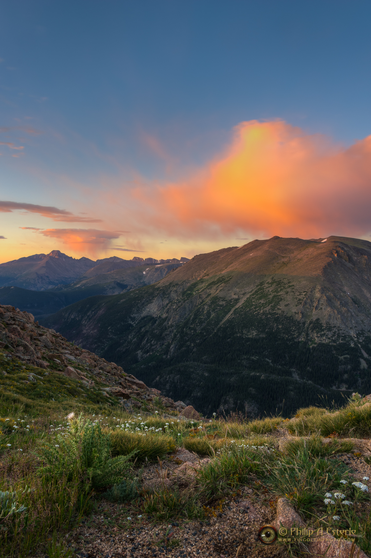 Trail Ridge Sunrise 7067