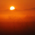 sunrise NO. 1 by arthika