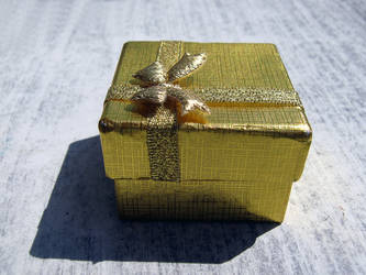 Little Present Box3