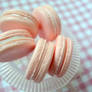 pastel pink macarons