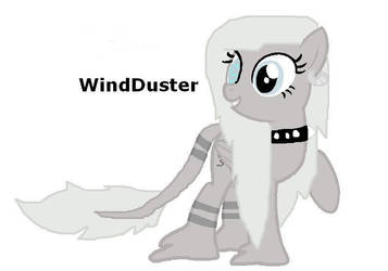 WindDuster ::Updated::