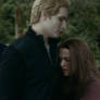 carlisle and bella 15