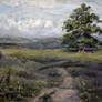 Copy of the Ivan Shishkin's picture