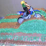 Motor cross cake 2