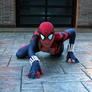 Spider-Girl cosplay wallcrawler