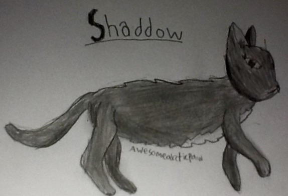 Simple Shadow Cat Shadow the Cat by AwesomeArcticPawAJ on DeviantArt