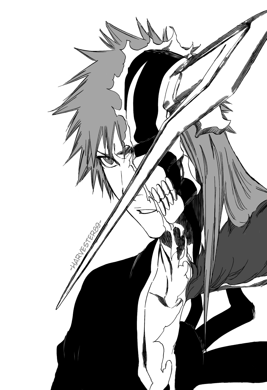 Kurosaki Ichigo Full Hollow :D