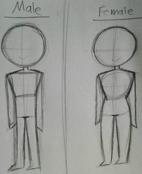 Male and Female body type practice 