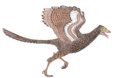 Archaeopteryx