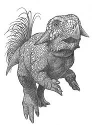 Psittacosaurus 02