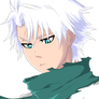 Hitsugaya Taicho