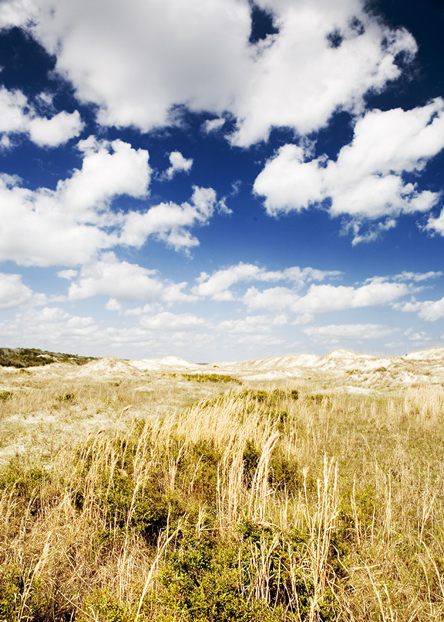 cumberland dunes