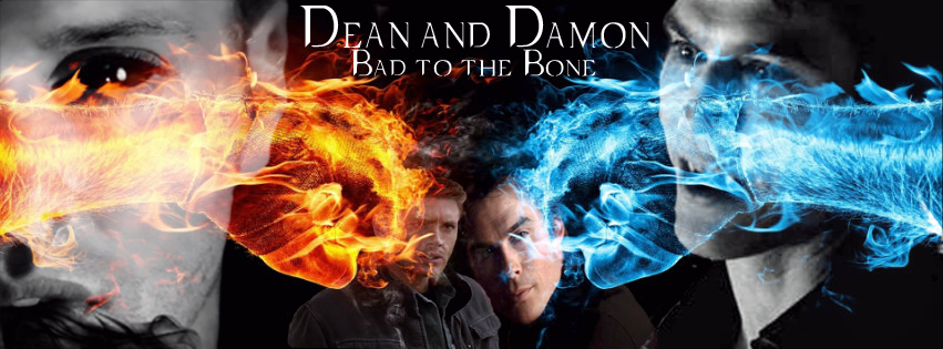 Damon and Dean RP Cover