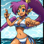 Shantae in the Water!