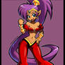 Shantae - Risky's Revenge Outfit