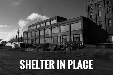 Shelter in Place