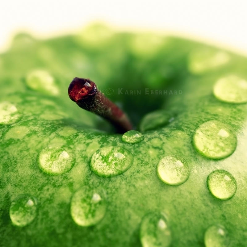 Viridity by Karisca Viridity by Karisca