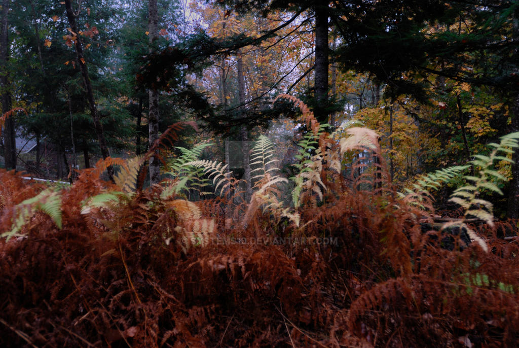 Rustic Fallin Rustic Fall Color by systems10 on DeviantArt