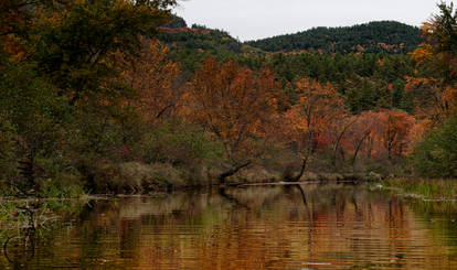 Fall Color's in Upstate NY