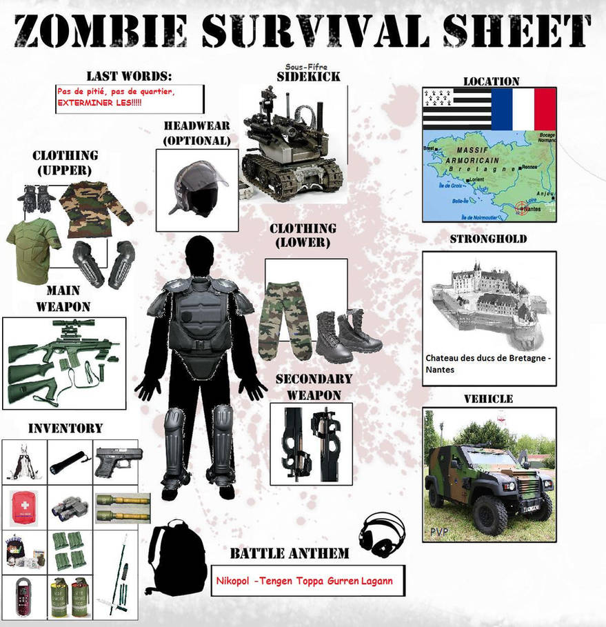 Zombie Survival Sheet by Aerasett on DeviantArt