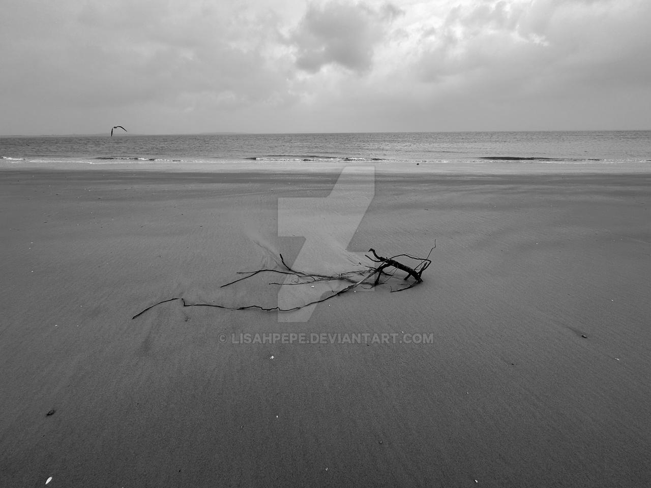 Tybee Island GA After The Storm By LisaHPepe On DeviantArt tybee-island-ga-after-the-storm-by-lisahpepe-on-deviantart