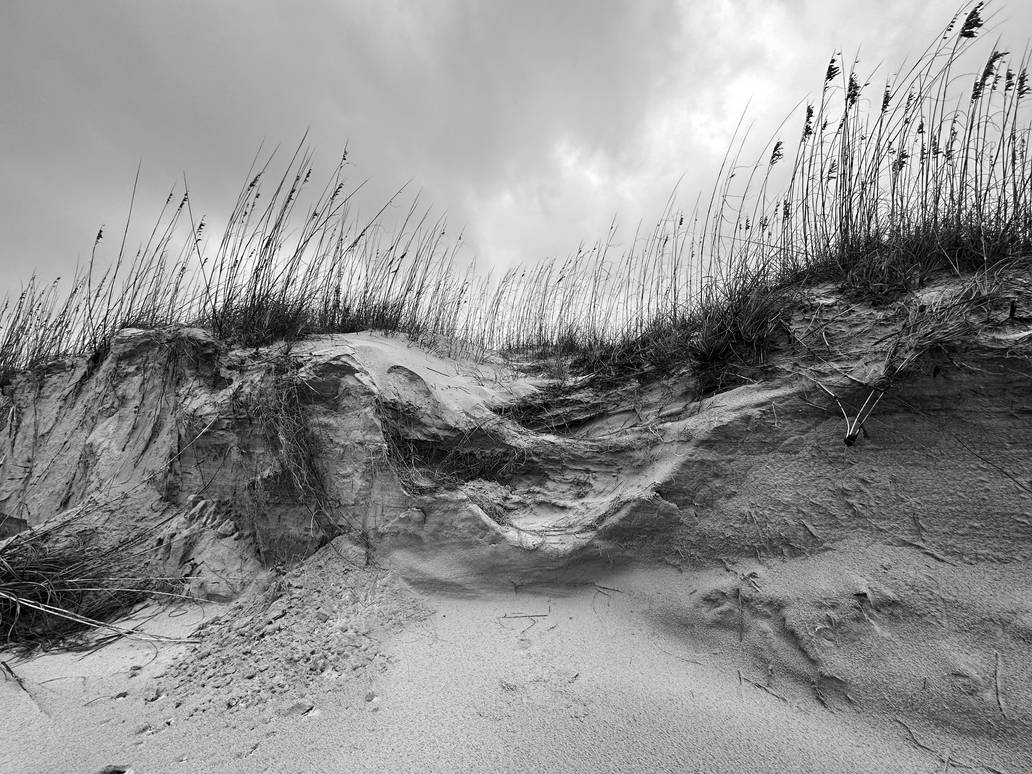 Tybee Island GA After The Storm By LisaHPepe On DeviantArt tybee-island-ga-after-the-storm-by-lisahpepe-on-deviantart