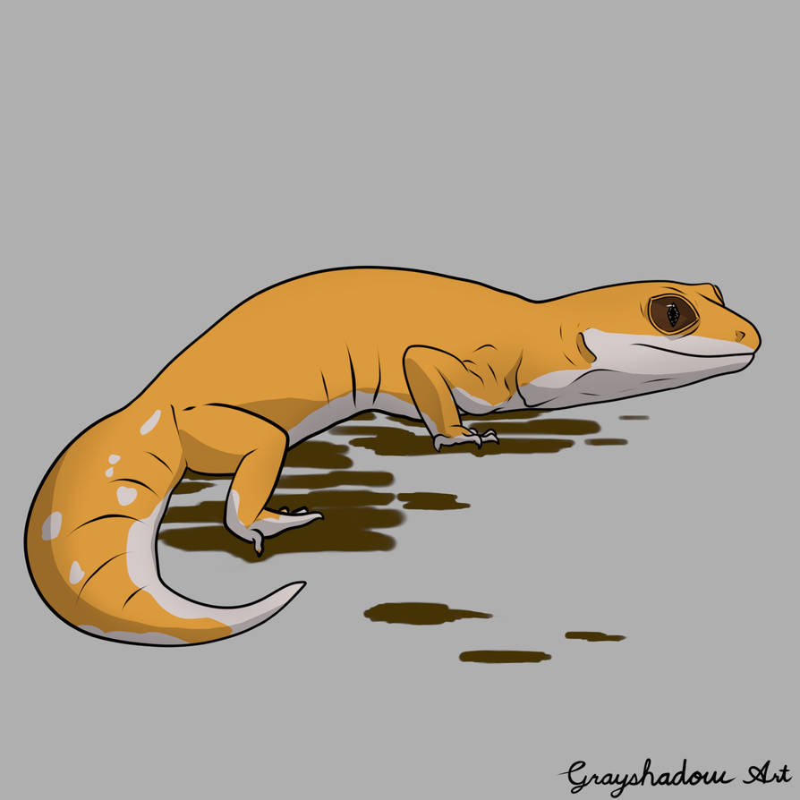 A Simple Gecko by GrayshadowArt on DeviantArt
