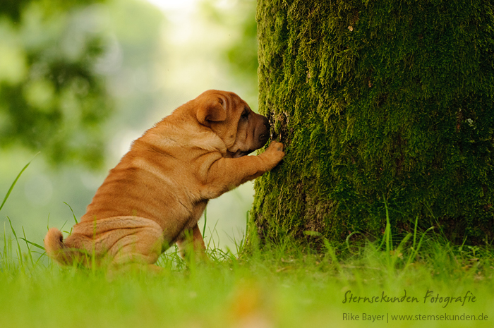 Nice to meet you by unfrozenduck Nice to meet you by unfrozenduck