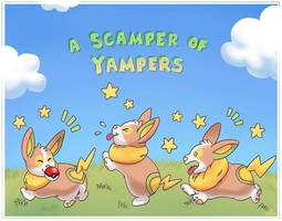 A Scamper!