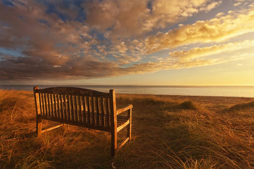 Beach Seat