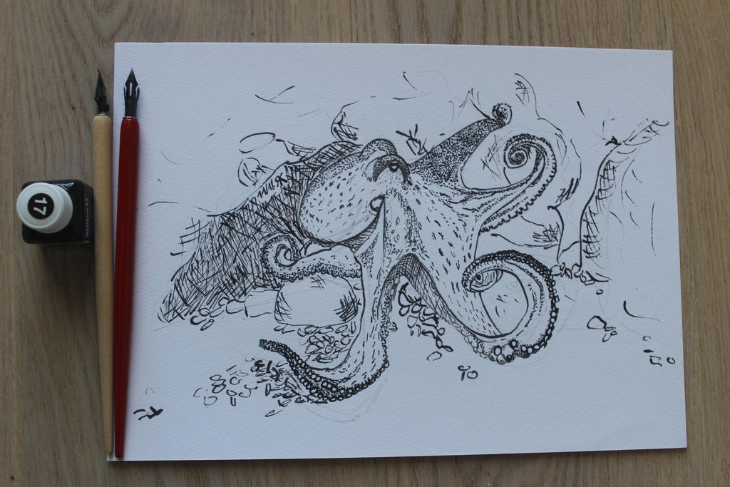 octopus in ink by MissValeriana on DeviantArt