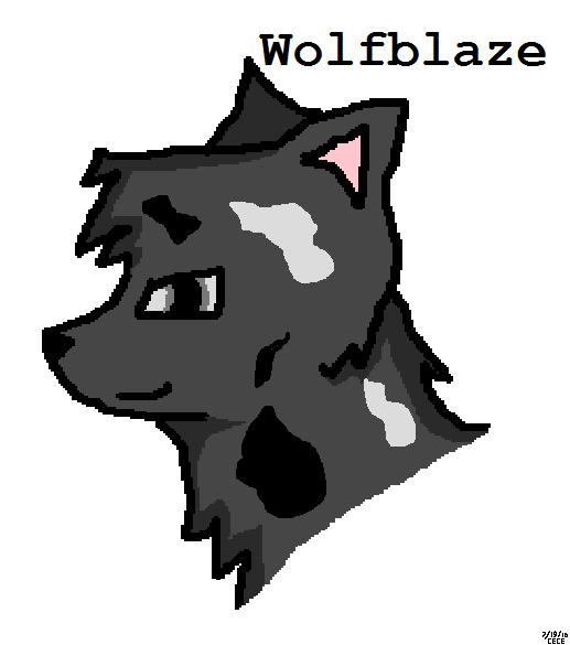 Warrior Cat Clans 2