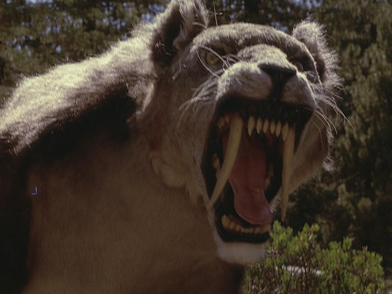 Sabertooth Dear Sabertooth 2002 by kyoryu267 on DeviantArt