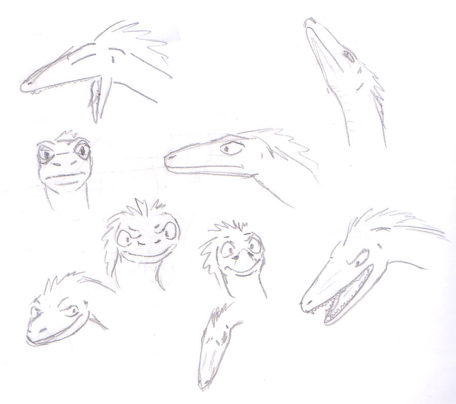 Raptor sketch by Katemare on DeviantArt