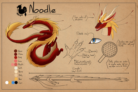 Noodle Reference Sheet (New)