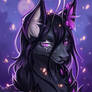 Contest prize - Portrait
