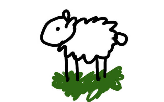 A Sheep