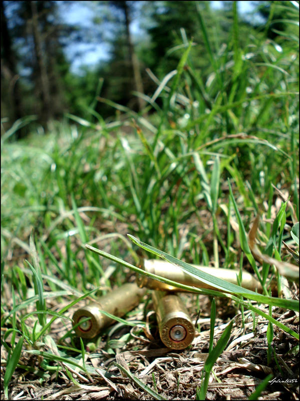 5.56x45 G36 Shells by Splinter54 on DeviantArt